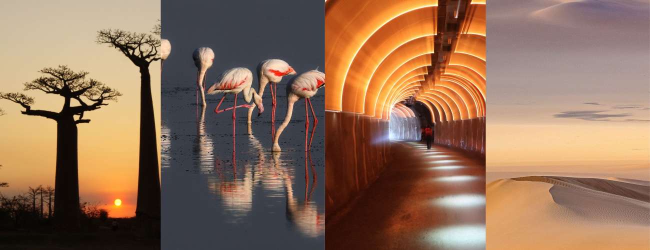 Exposition de photographies : voyage au cœur de l’imaginaire