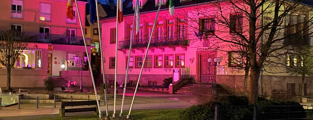  La mairie éclairée en violet pour la journée internationale de l'épilepsie 