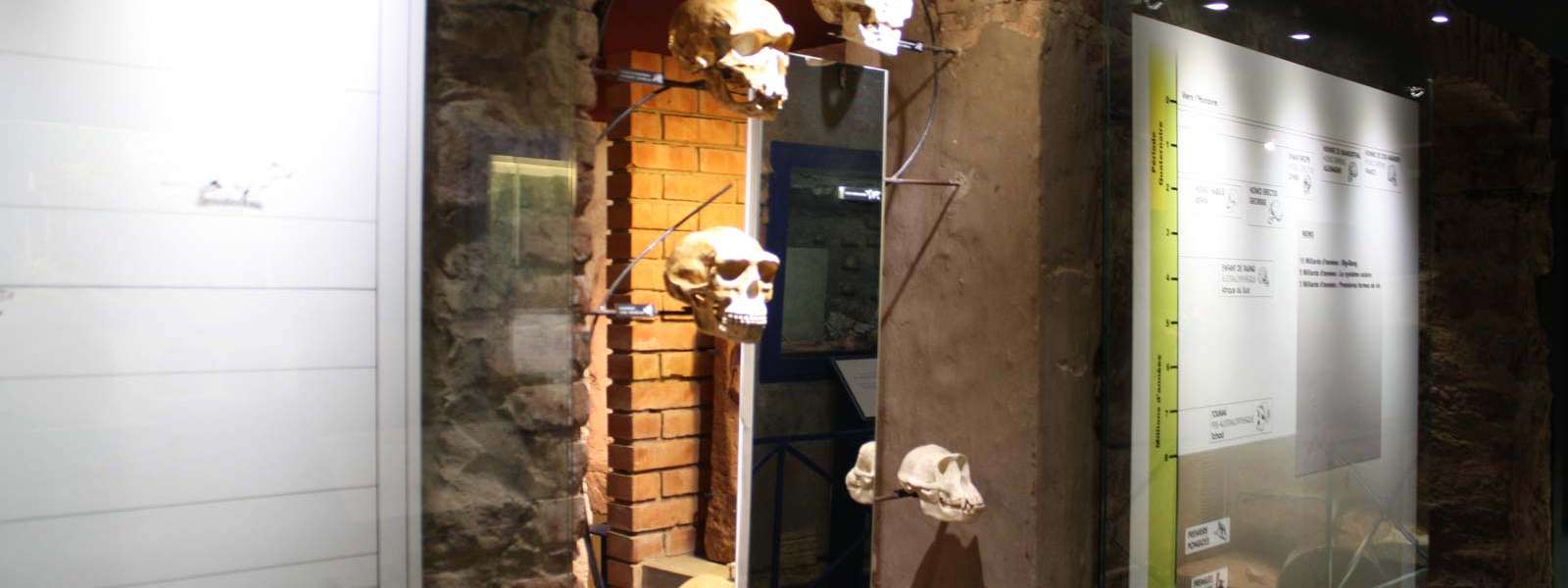 Visite du secteur 'Néolithique' du musée, Niederbronn-les-Bains