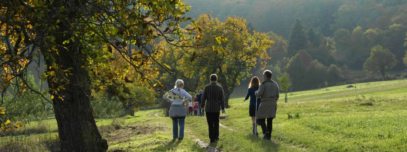 Sortie automnale organisée par l'ANPN