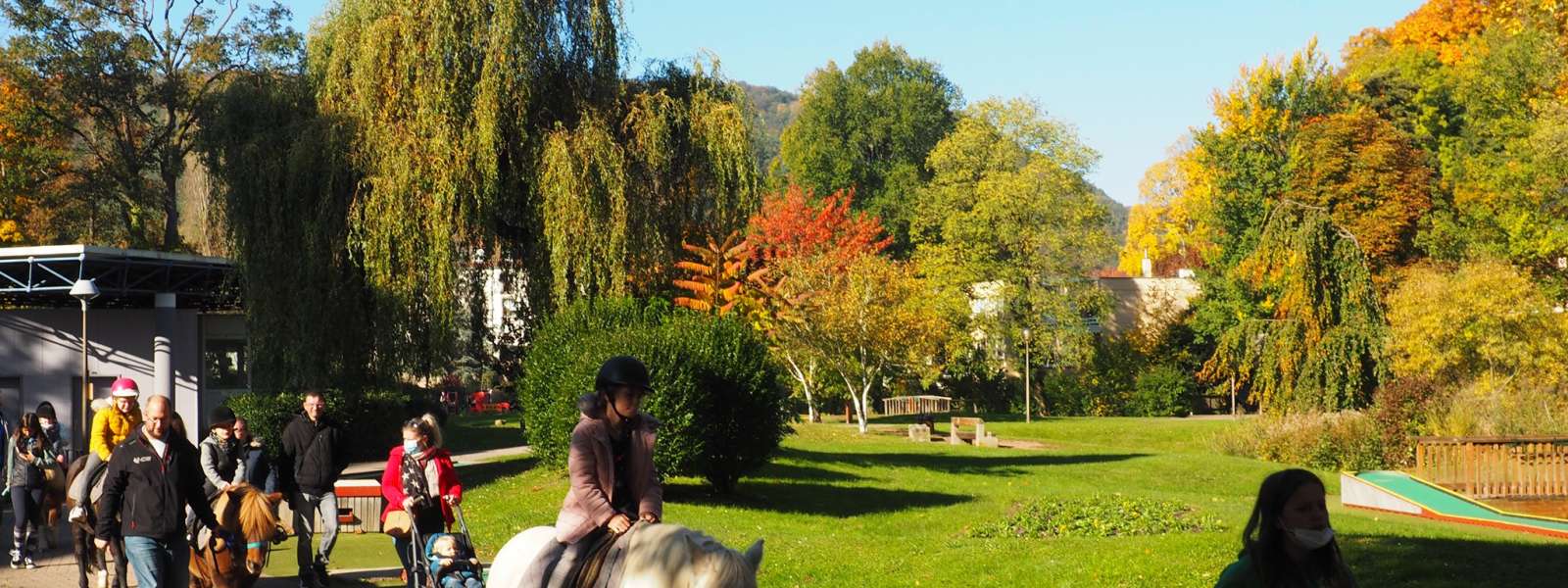 https://apps.tourisme-alsace.info/photos/niederbronn/photos/219006686_7.jpg