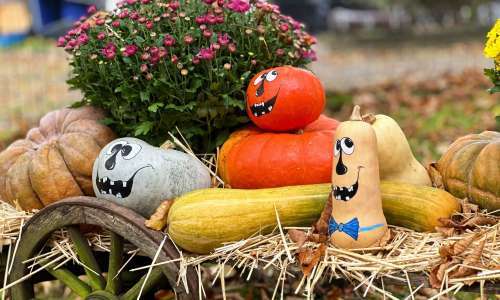 Fête d'automne : célébrons les saveurs de notre terroir le 26 octobre !