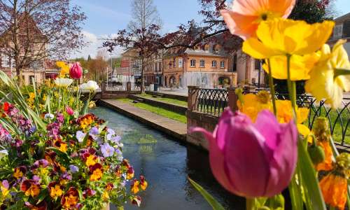 Bienvenue à Niederbronn-les-Bains