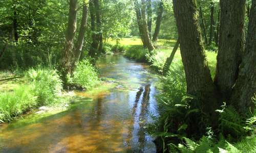 Bassin versant de la Moder : Prenez la parole sur les enjeux à venir autour de l’eau !