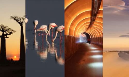 Exposition de photographies : voyage au cœur de l’imaginaire