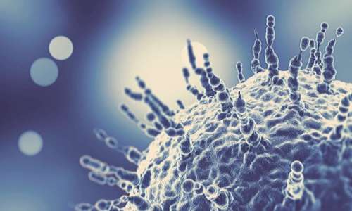 Lettre du maire – spéciale coronavirus