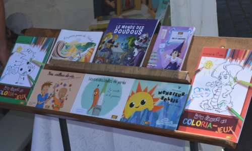 Livres en fête  1