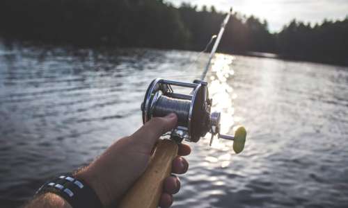 Avis annuel : périodes d'ouverture de la pêche en 2025