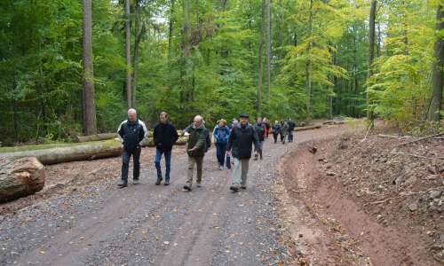 Sentier forestier entre Niederbronn et Reichshoffen