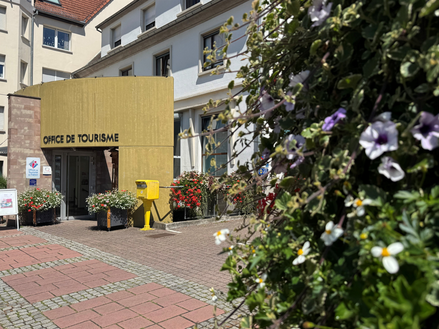 Capture d'écran 2025-10-03 102903.png