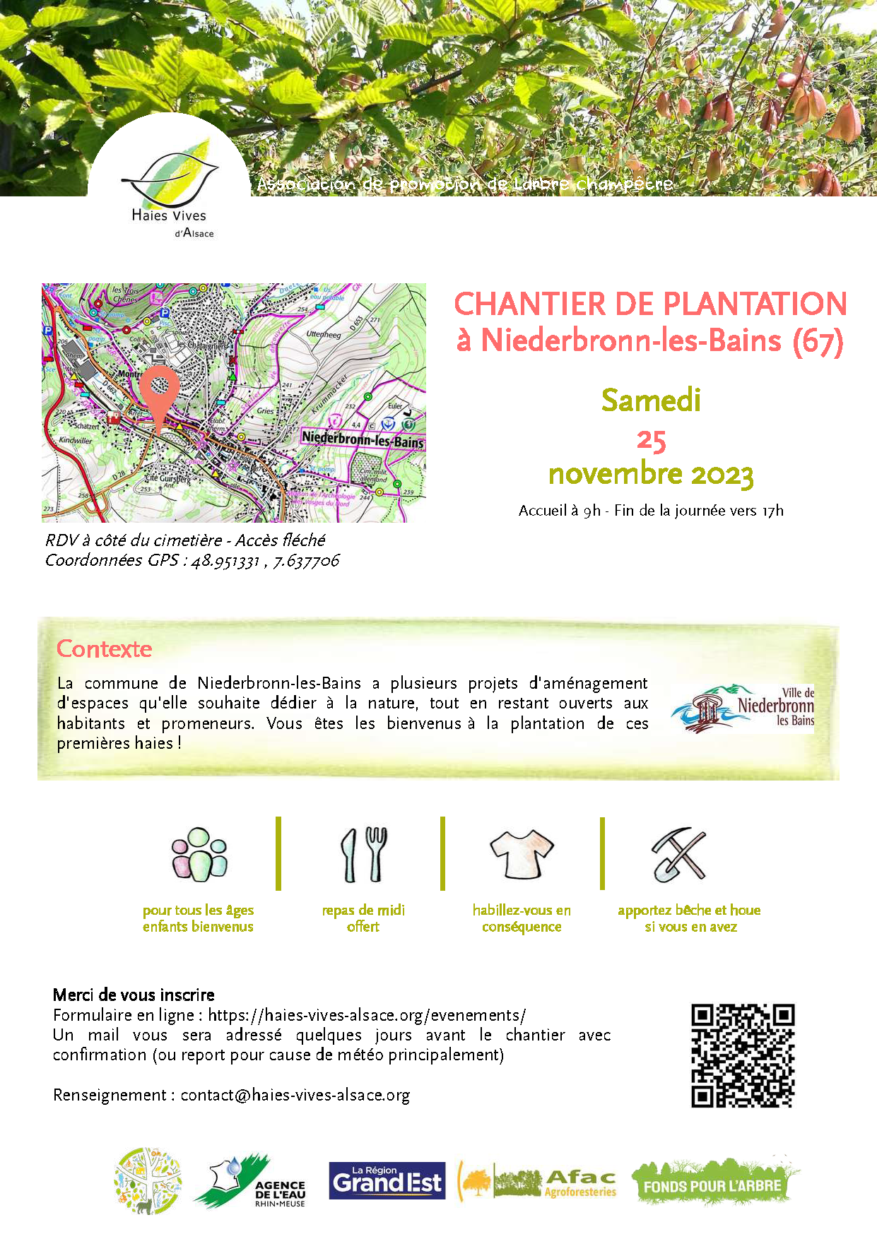 Haies vives niederbronn
