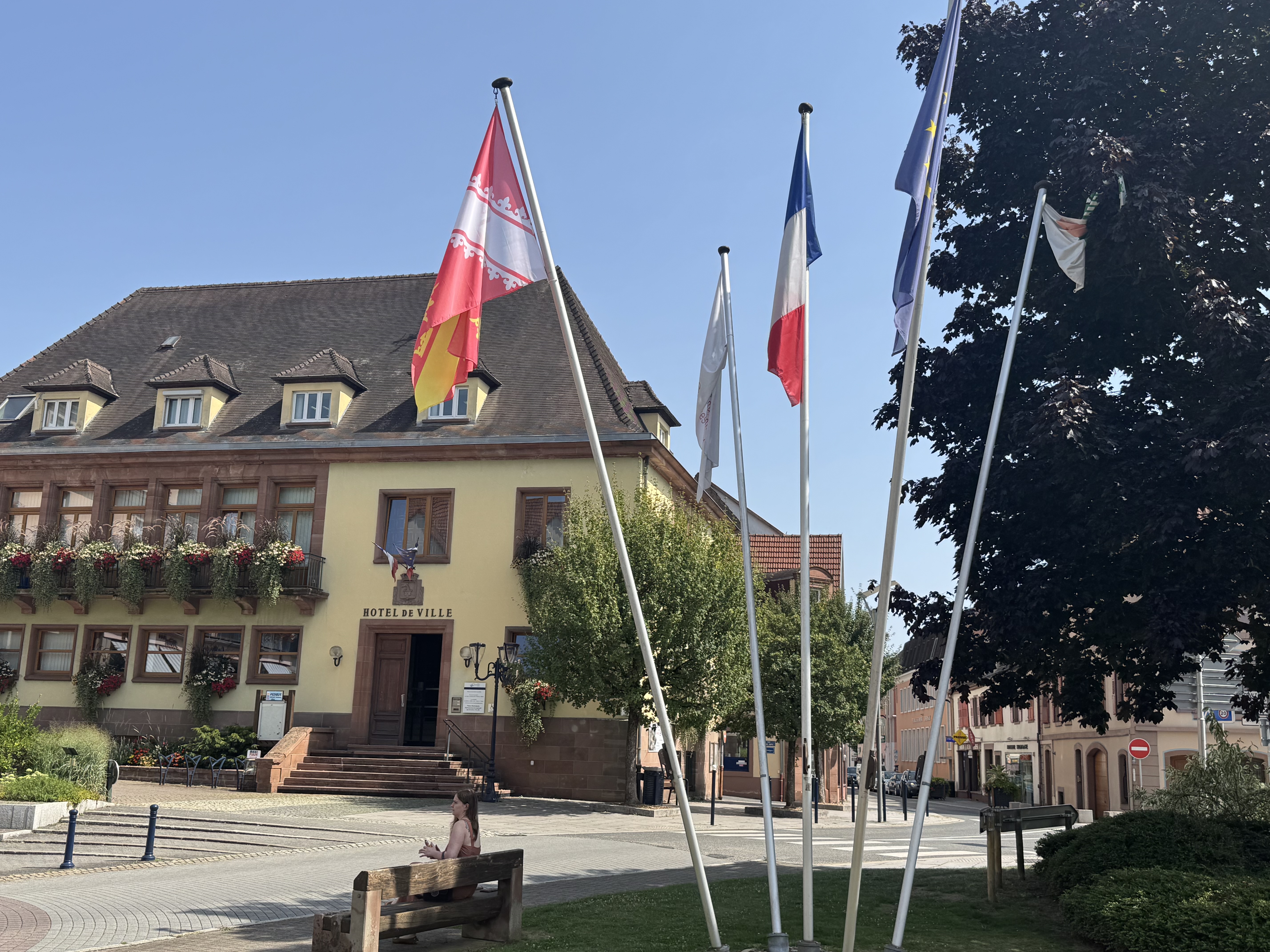 PhotoDeCouverture_Drapeaux.jpeg