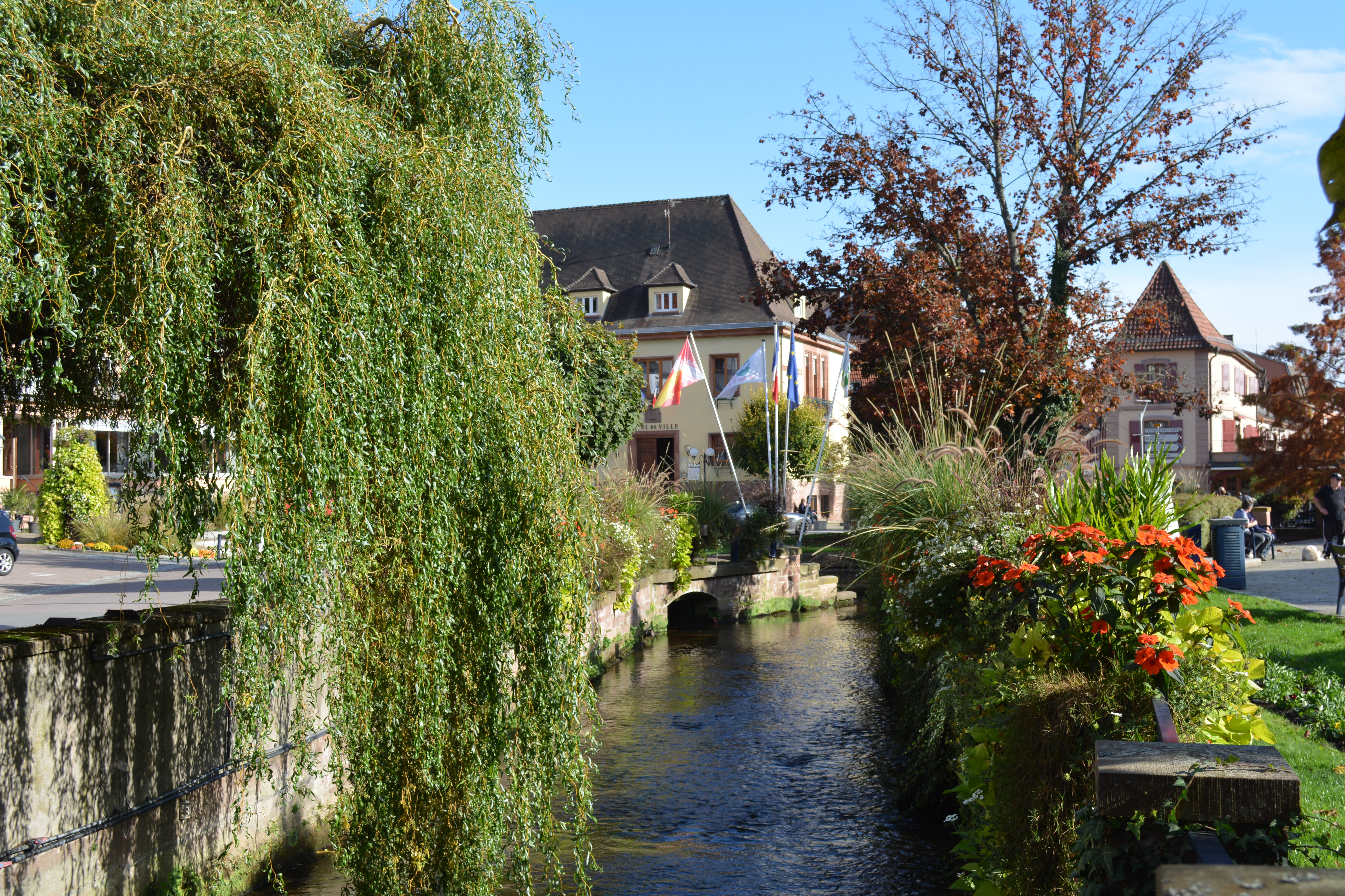 PhotoDeCouverture_Falkensteinerbach.JPG