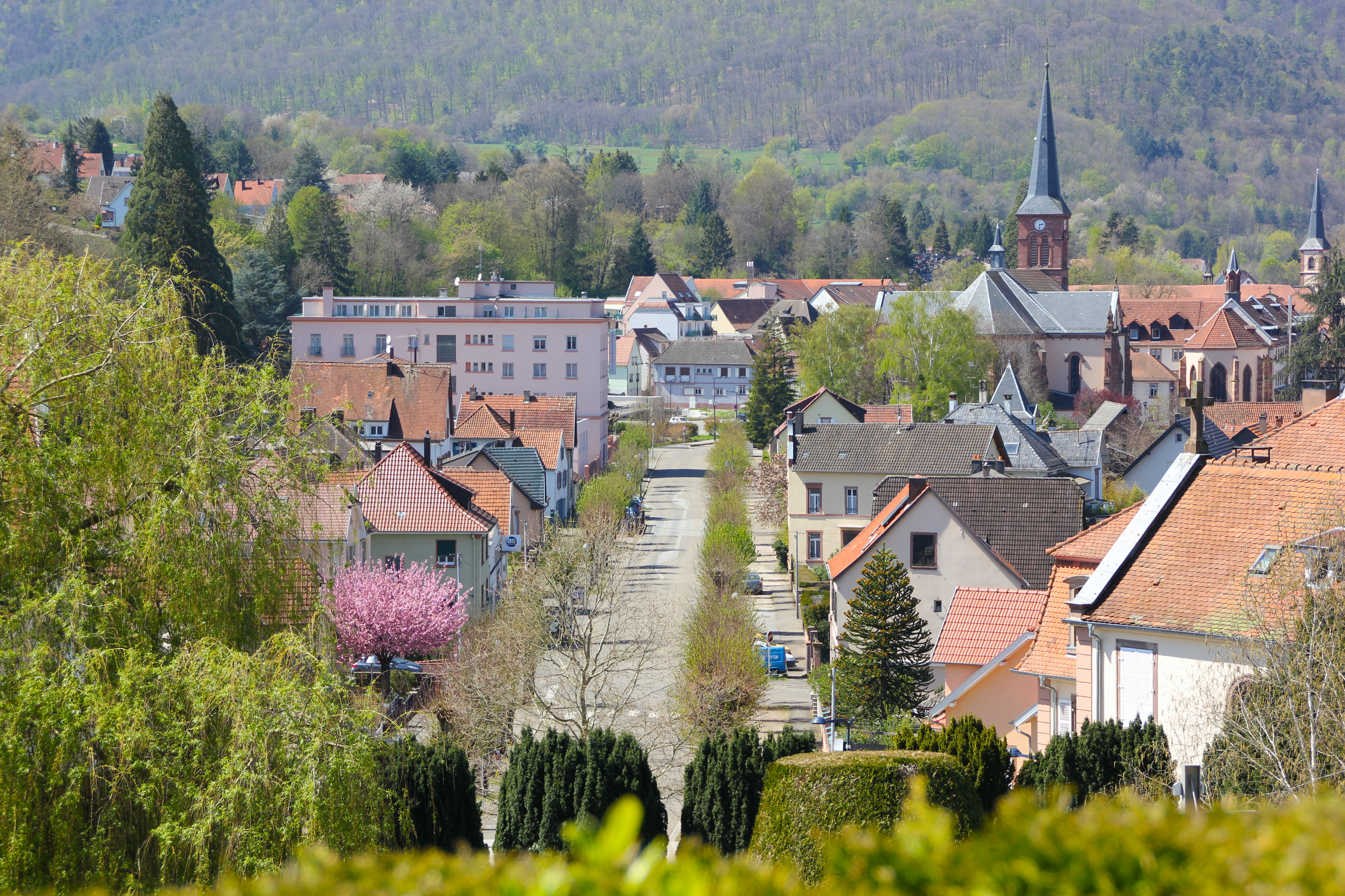 PhotoDeCouverture_YannArthusPrintz.JPG