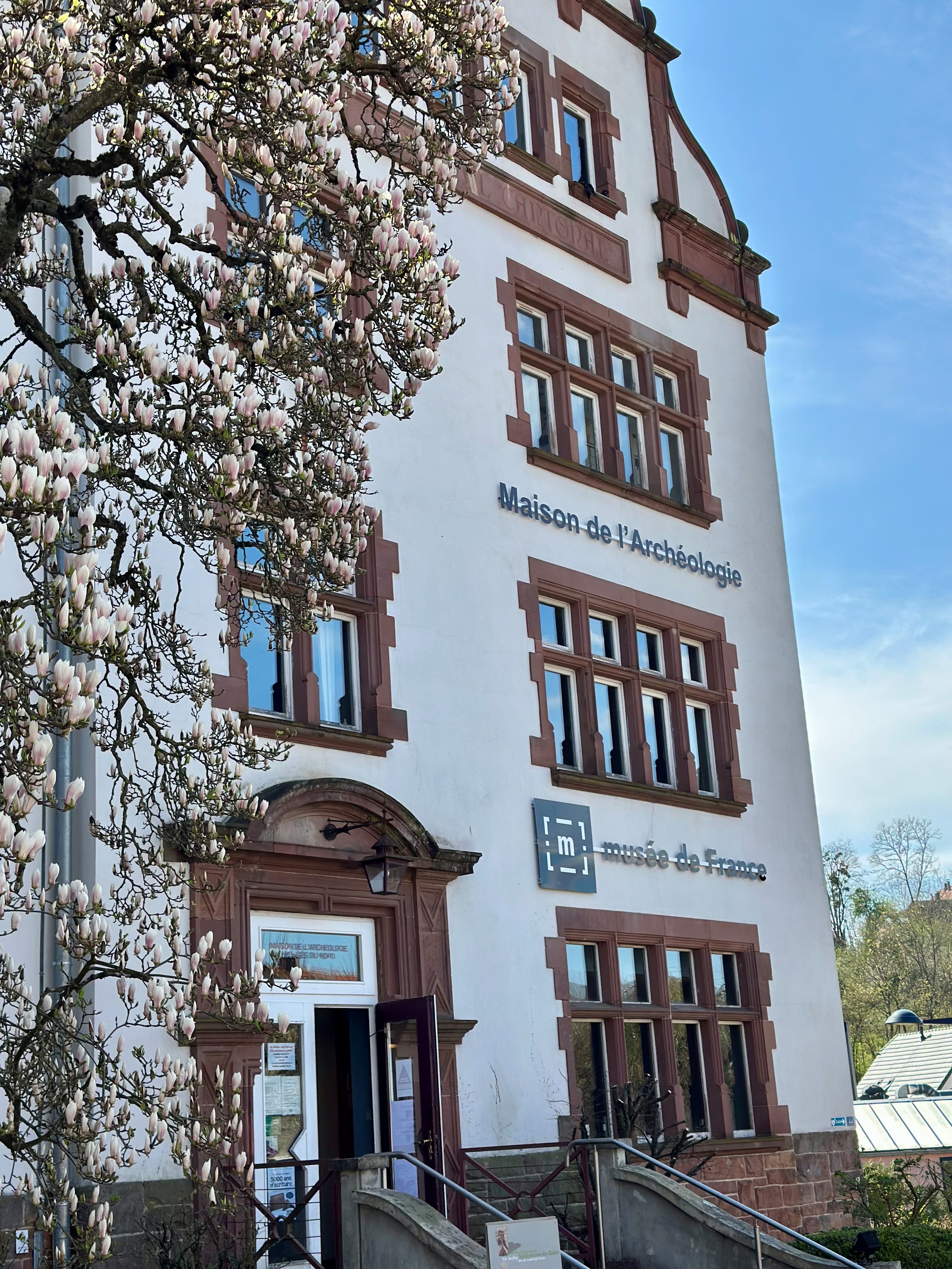 Maison De L Archologie Des Vosges Du Nord Musee De France