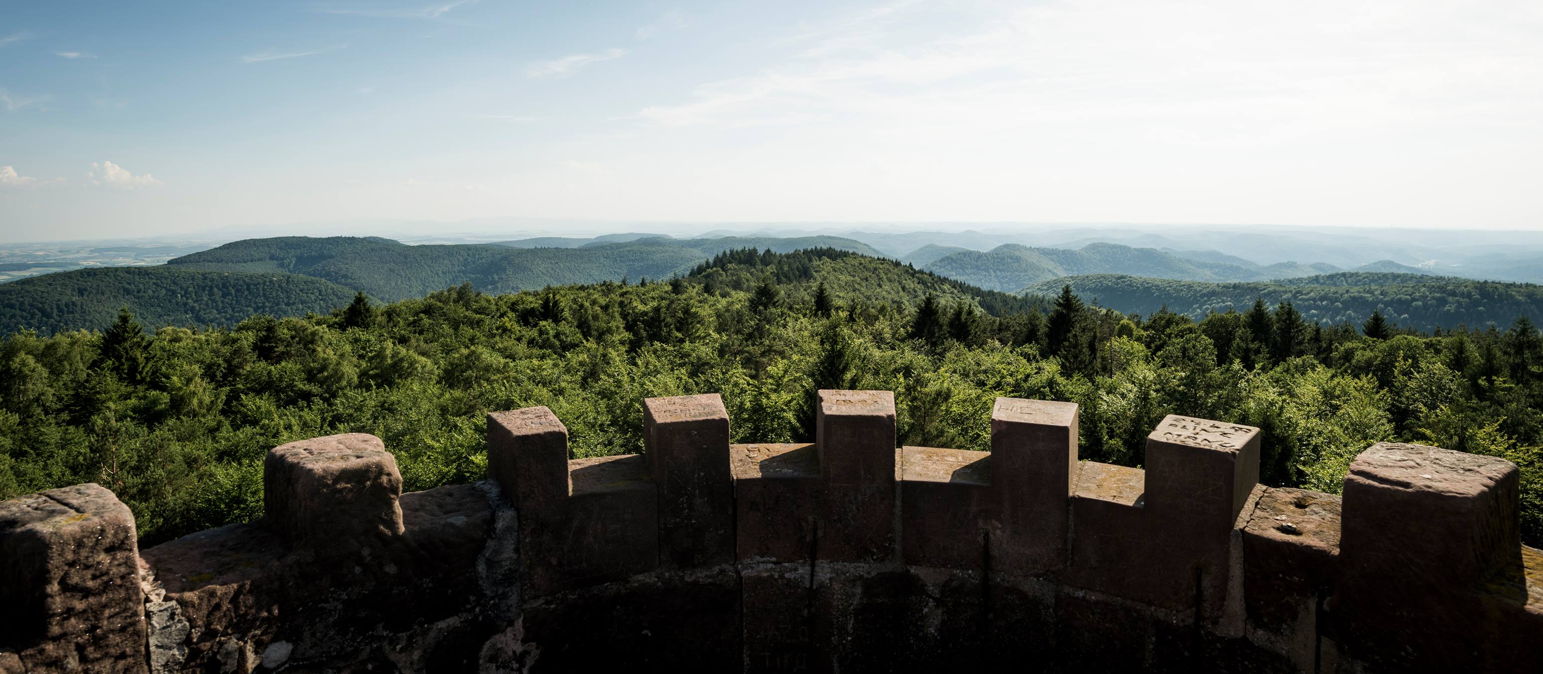 Panorama Depuis La Tour Du Wintersberg