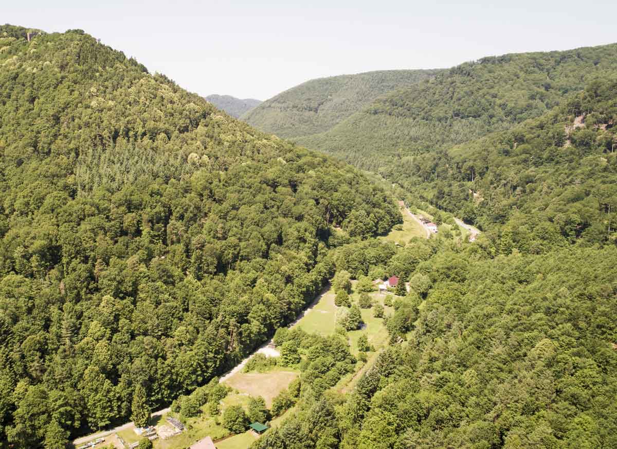 La forêt occupe deux tiers du ban communal de Niederbronn