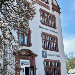 Maison De L Archologie Des Vosges Du Nord Musee De France