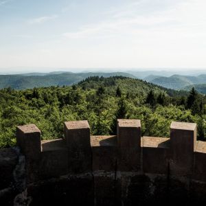 Panorama Depuis La Tour Du Wintersberg