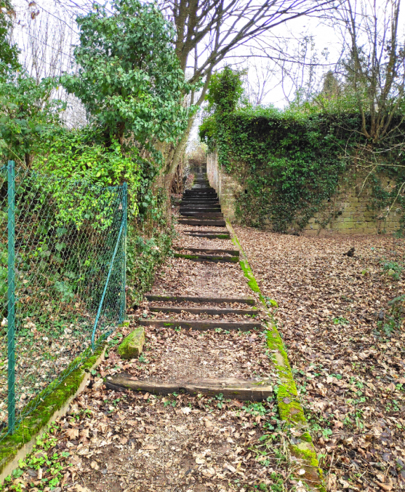 8. Montée vers les jardins clos