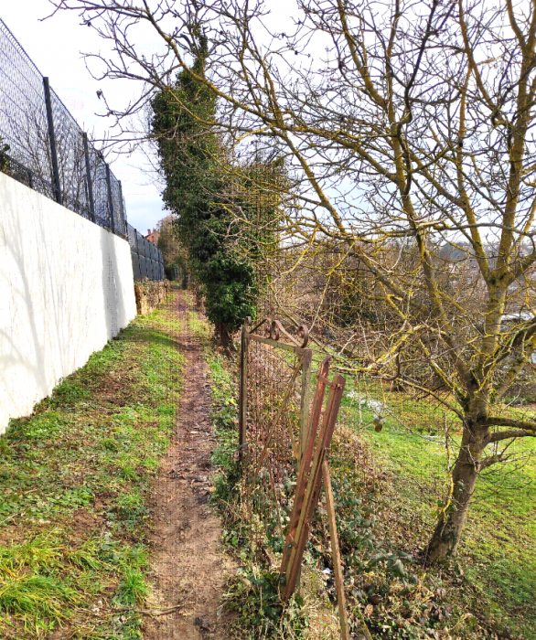 11. Sentier de l'anneau jaune