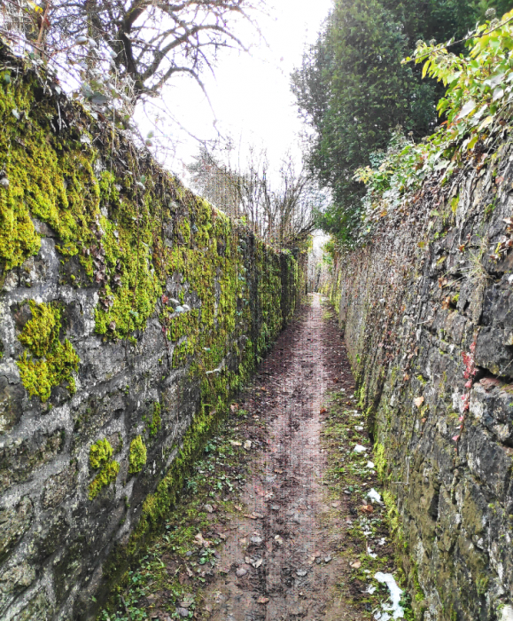 9. Sentier entre les jardins clos