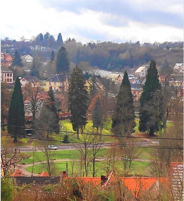 4. Vue sur le jardin des anglais