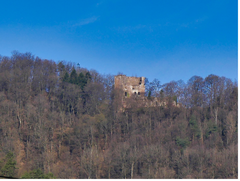 2. Le château de la Wasenbourg