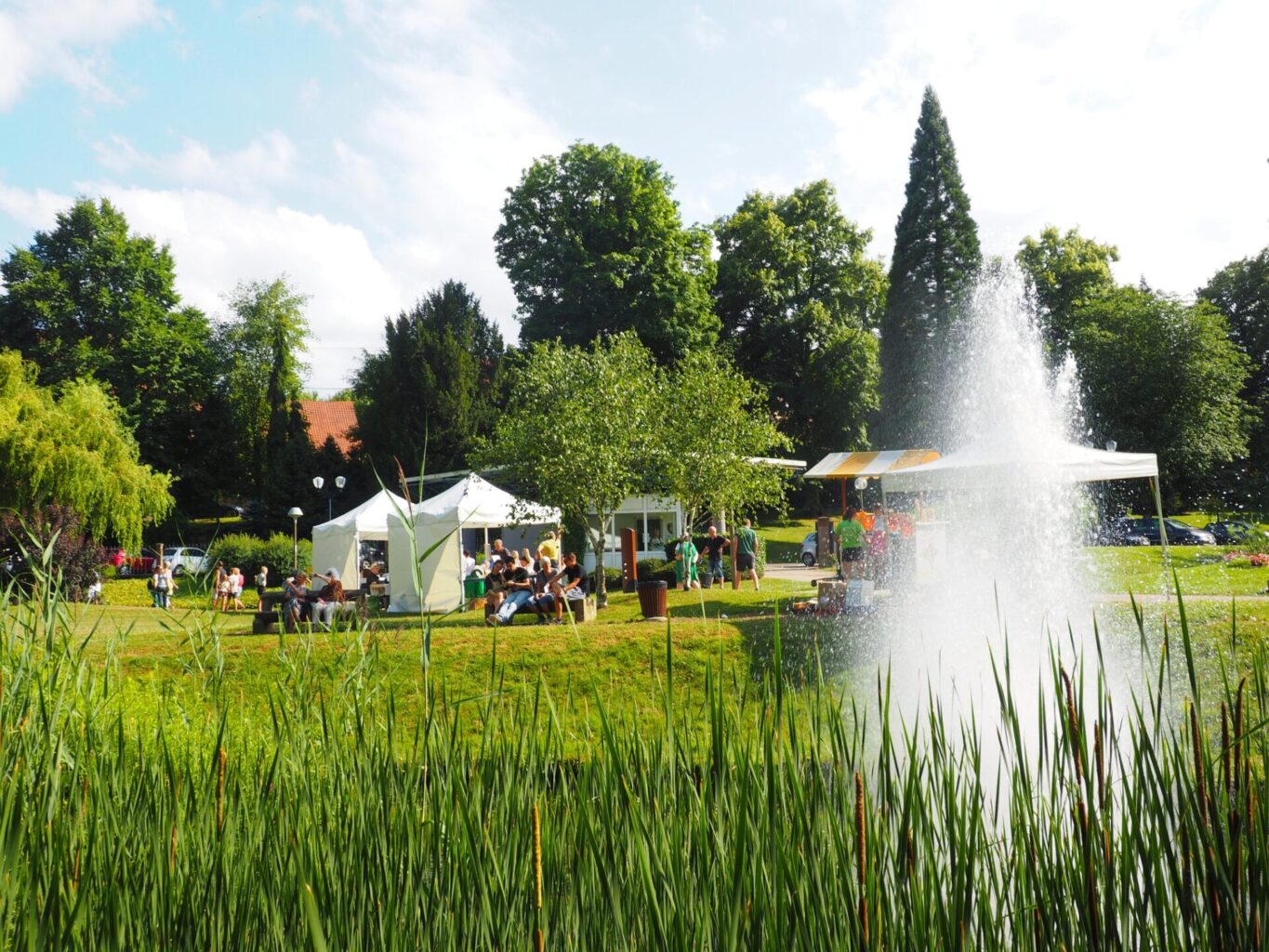 Photo de Livres en Fête dans le parc du golf de Niederbronn avec un jet d'eau