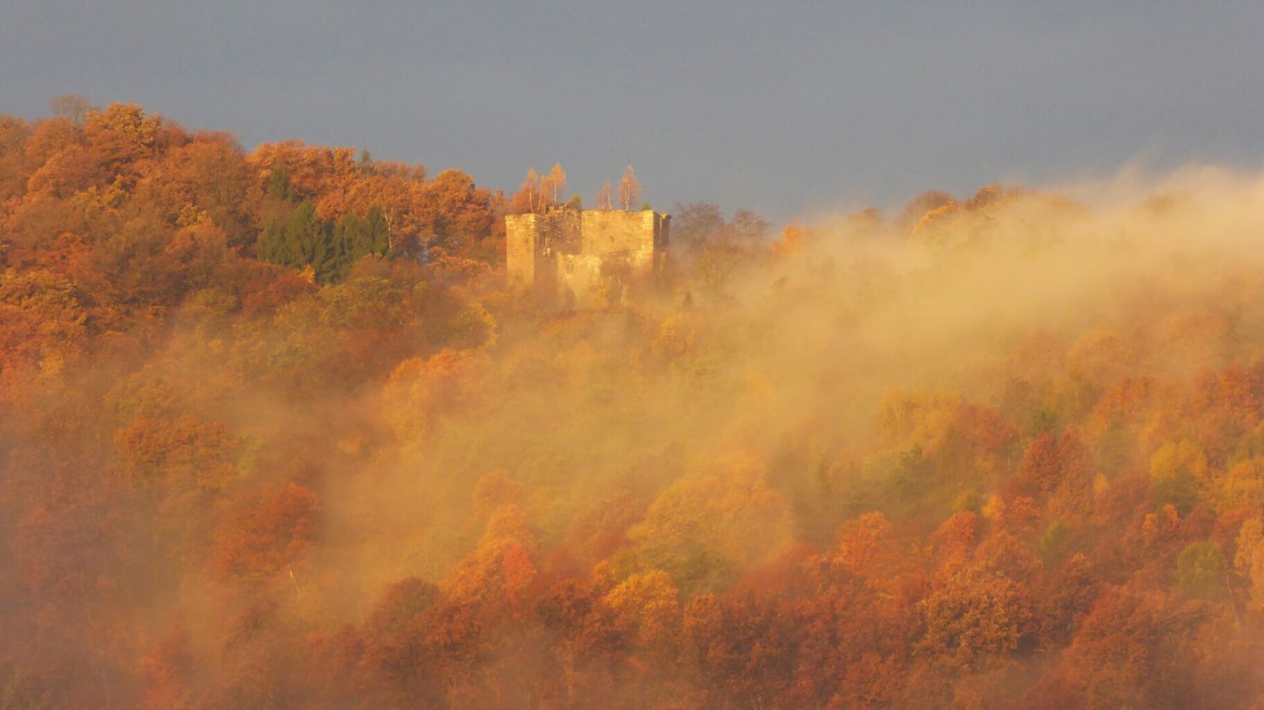 Château de la Wasenbourg en automne, dans la forêt de Niederbronn-les-Bains