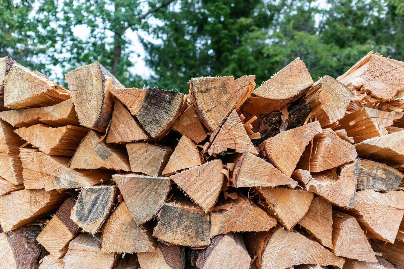Photo de bois de chauffage - Crédit photo : Andreas Pajuvirta sur Unsplash