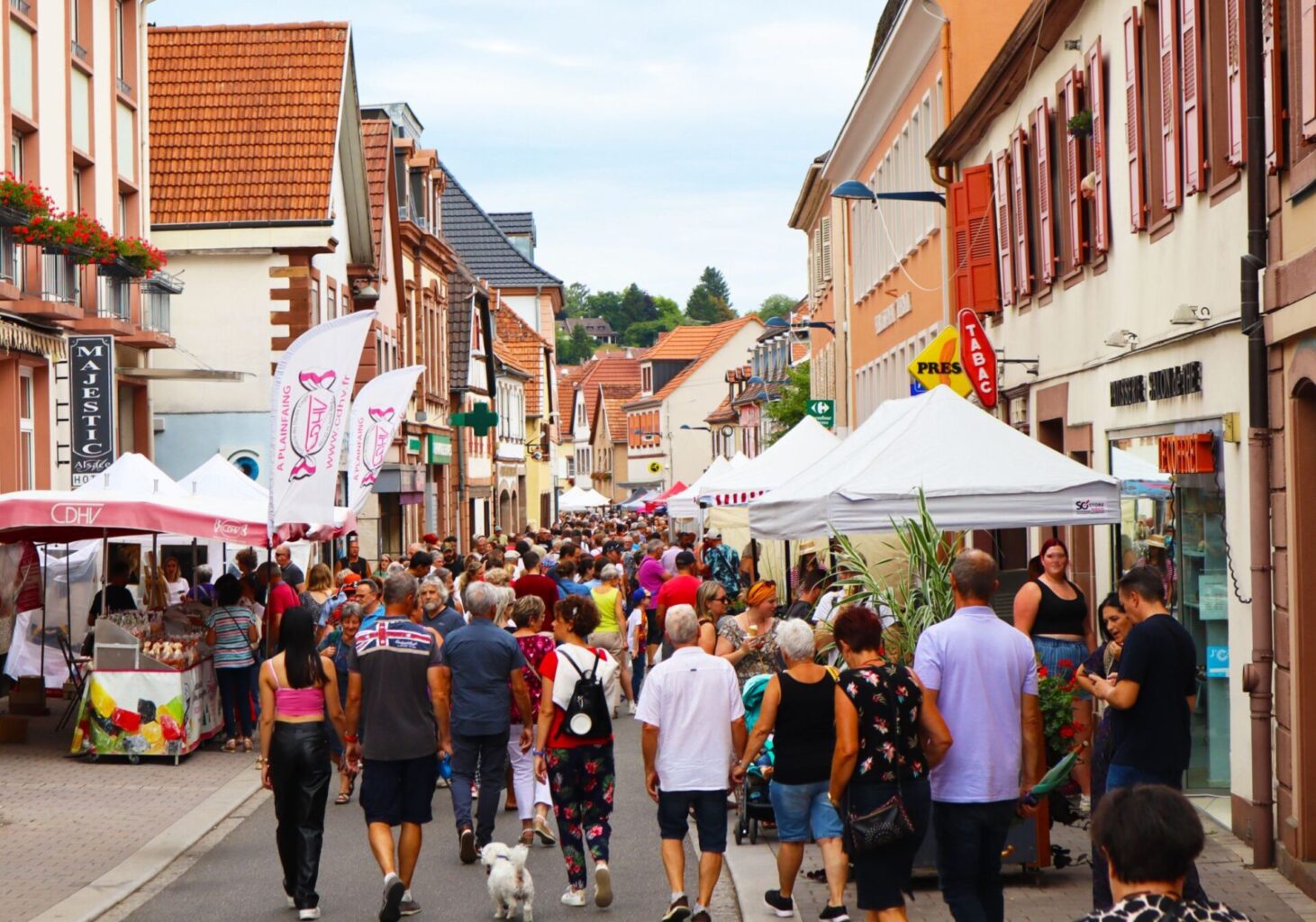 Photo du Festival de l'Artisanat de Niederbronn-les-Bains