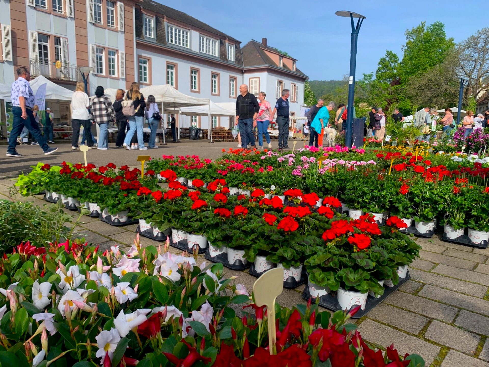 Marché aux fleurs des Amis des fleurs, fruits et jardins de Niederbronn-les-Bains
