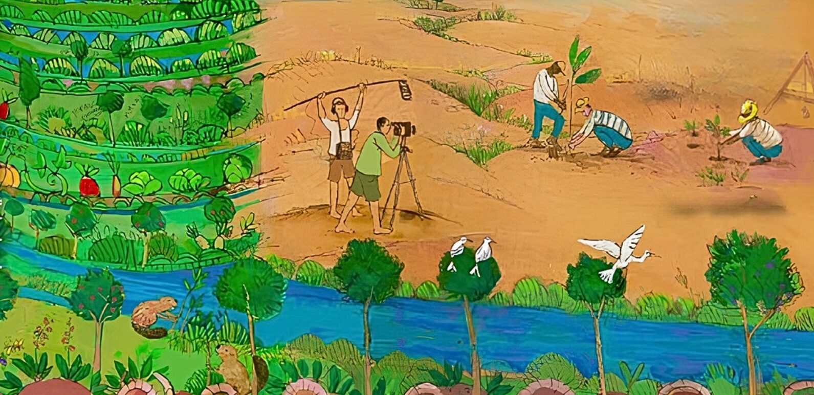 Illustration du film Cultiver la pluie